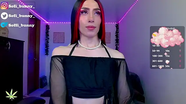 soffi bunny online show from June 2, 9:22 am