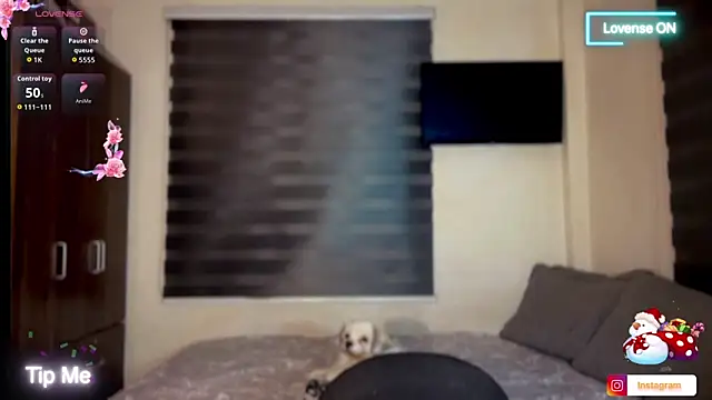 bella maxwel online show from December 21, 3:34 am